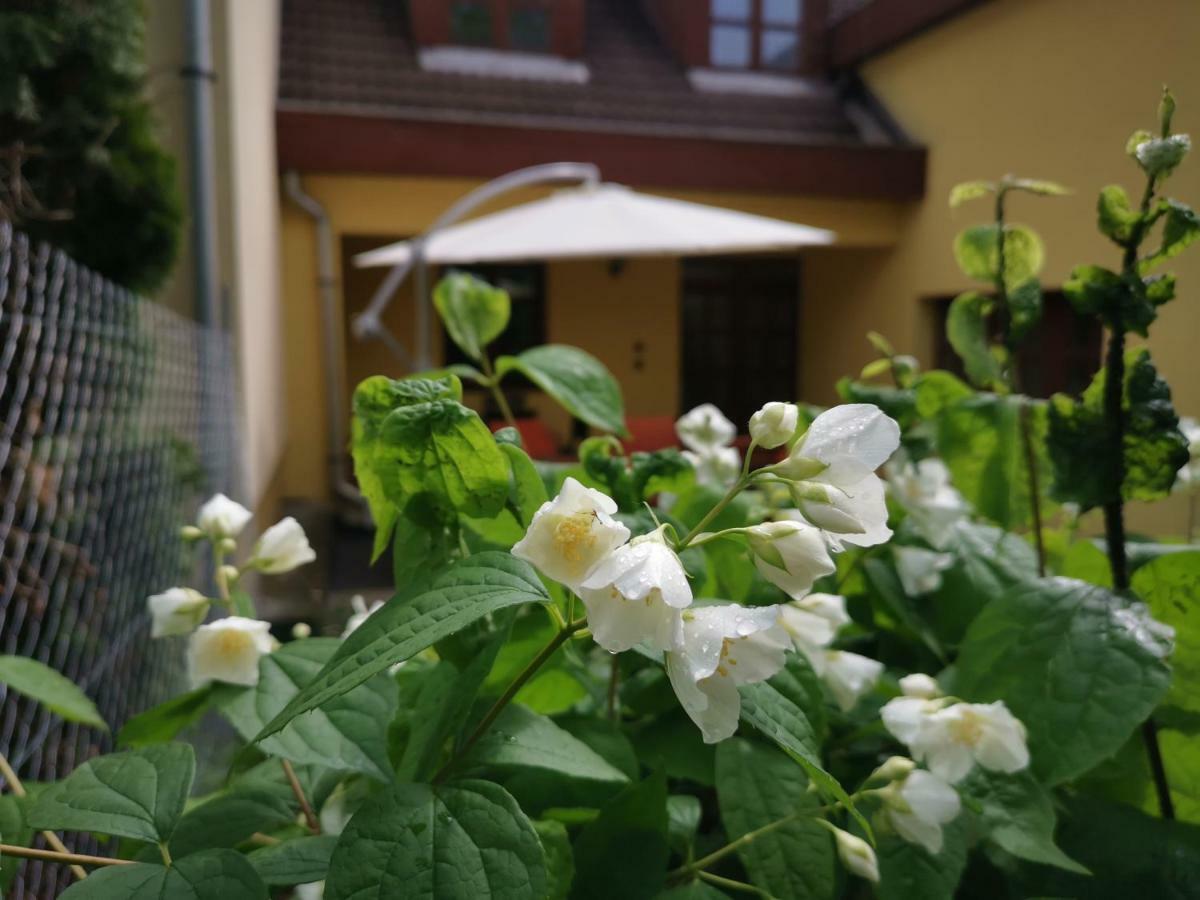Hella Vendeghaz Hotel Eger Bagian luar foto