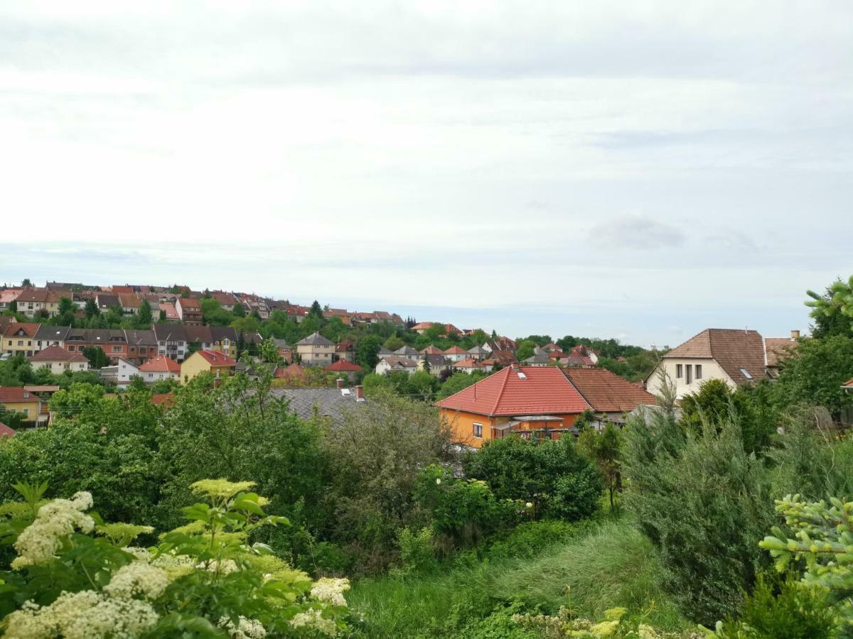 Hella Vendeghaz Hotel Eger Bagian luar foto
